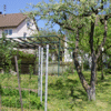 Grundst�ck und Geb�ude