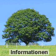 Informationen