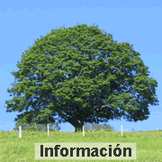 Informacin