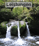 Leistungen