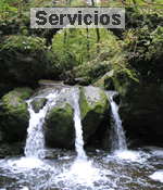 Servicios